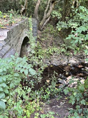 Photo 32- click for photo gallery